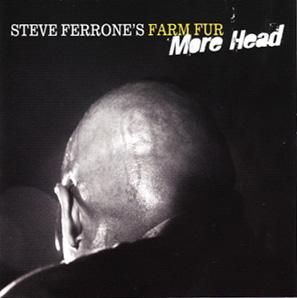 Steve Ferrone – More Head